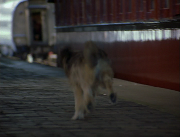 File:ThomasAndTheMagicRailroad322.png