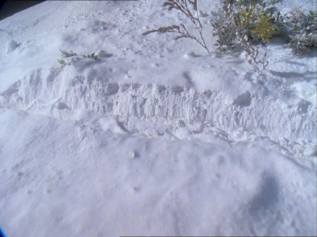 File:ThomasandtheMissingChristmasTree13.png