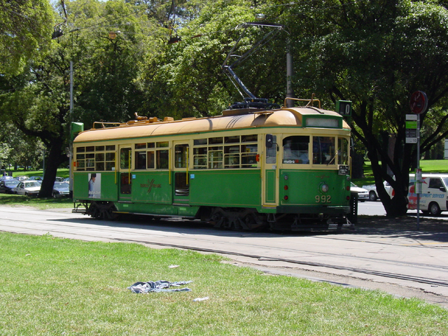 File:Tracy'basis.png