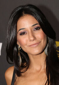 Emmanuelle Chriqui 3