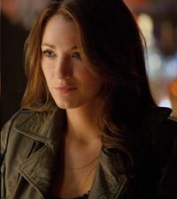 Blake Lively Brunette