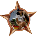 Arquivo:Badge-6588-1.png