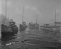 Thumbnail for version as of 09:16, March 28, 2009