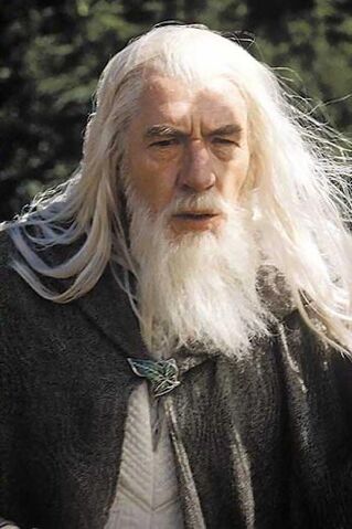 Plik:Gandalf11.jpg