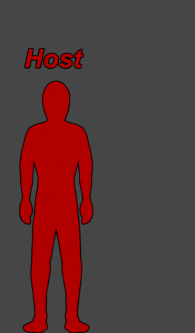 File:Possessiongif.gif