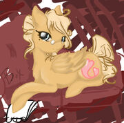 Soaring