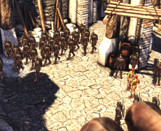 CastleCous002
