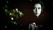 Katherine-Pierce-katherine-pierce-29153896-500-281