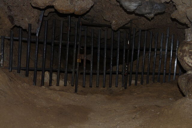 Plik:P1060175.jpg