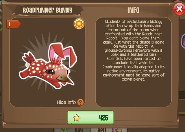 File:Roadrunner Bunny 1 (Info).jpg