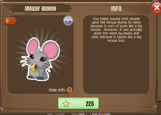 File:Mouse Bunny 1 (Info).jpg