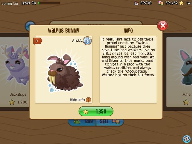 File:Walrus 2.jpg