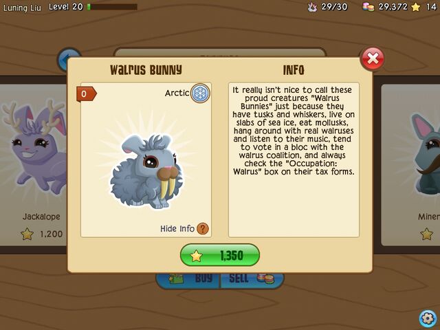 File:Walrus 1.jpg