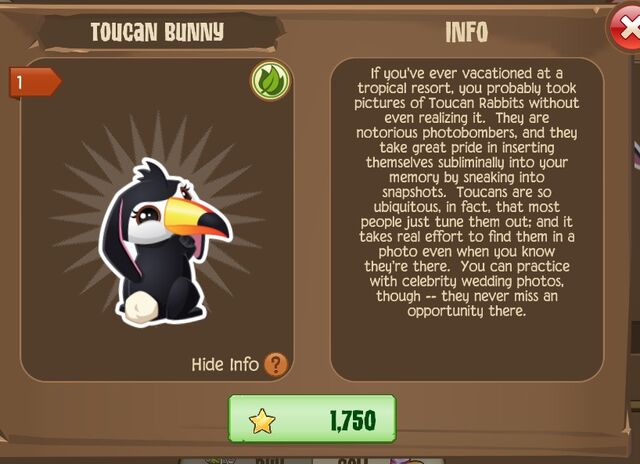 File:Toucan Bunny 1 (Info).jpg