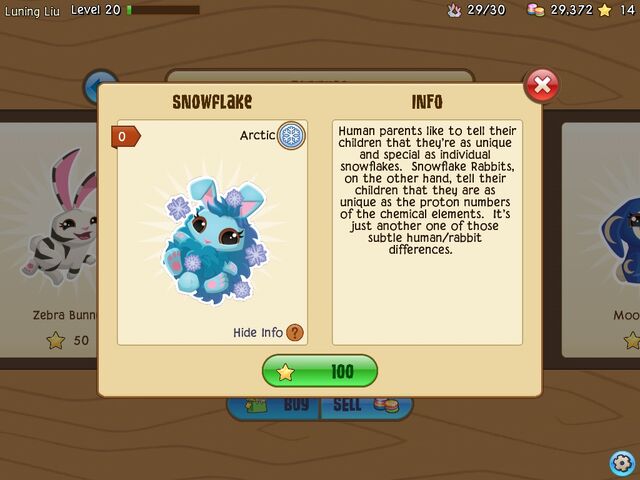 File:Snowflake 2.jpg