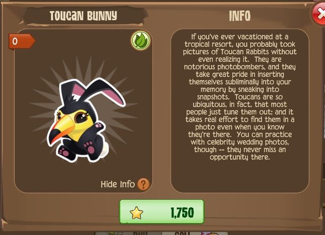 File:Toucan Bunny 2 (Info).jpg