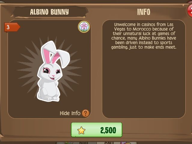 File:Albino Bunny (Info).jpg