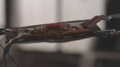 Alien Fluid