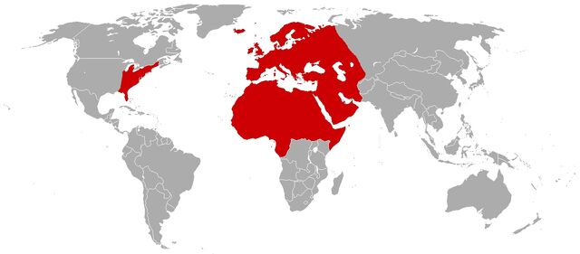 File:Hitler's Third Reich 1953.jpg
