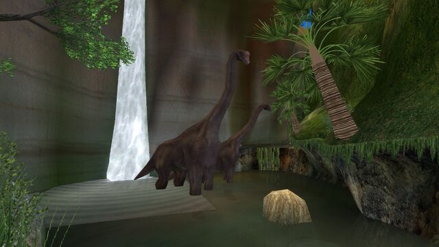 File:Animalia (58).jpg