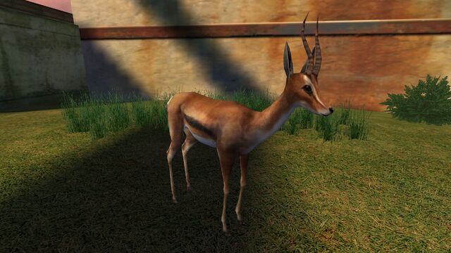 File:Animalia (67).jpg