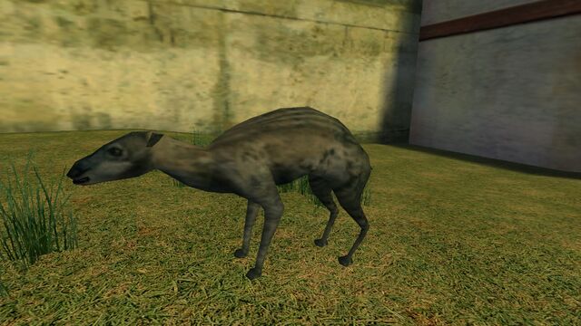 File:Animalia (26).jpg