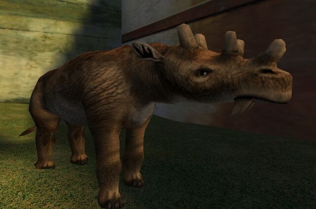 File:Zoo Animals (PC) (3).jpg
