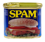 Spam can