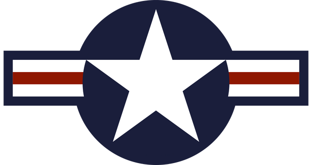 File:Roundel of the USAF svg.png
