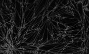 CaffeineCrystals Fibrous 10xDarkField-1-