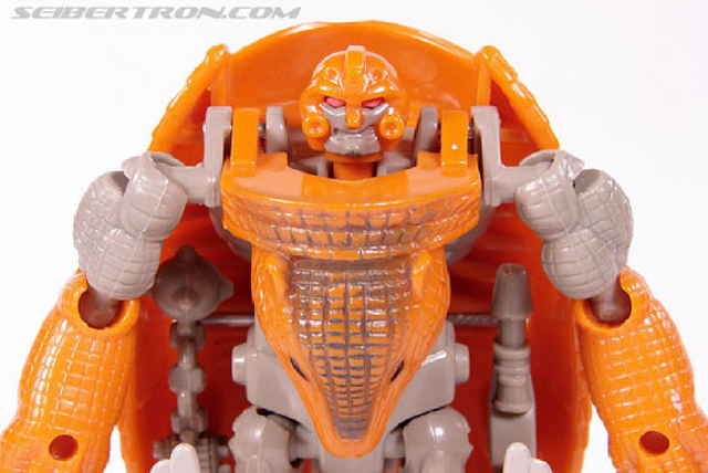 File:Armadillo.png