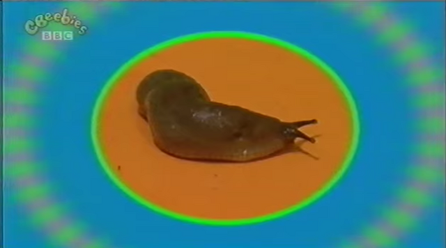 File:Slug.png
