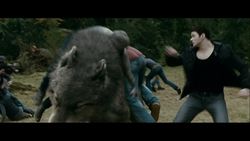 Emmett-saves-paul
