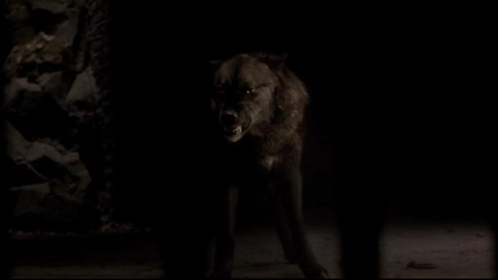 Image Vampire diaries werewolf.jpg The Twilight Fanon Wiki FANDOM