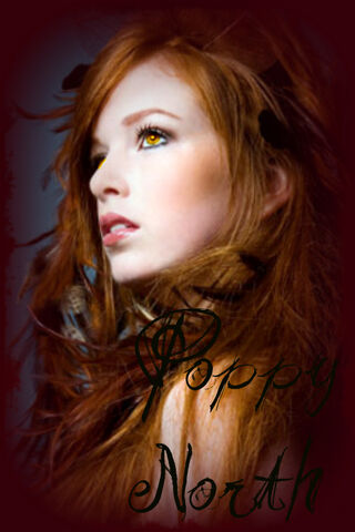 File:Poppy North.jpg