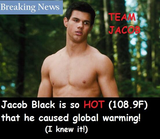 File:Jacob-Black-in-New-Moon-team-jacob-6524145-600-365.jpg