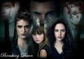Thumbnail for version as of 18:30, March 30, 2011