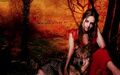 Thumbnail for version as of 19:24, December 24, 2010