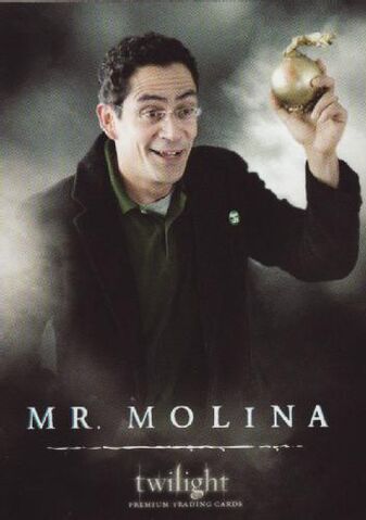 Fichier:Mr. Molina.jpg
