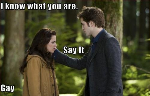 File:Funny-twilight-picture.jpg