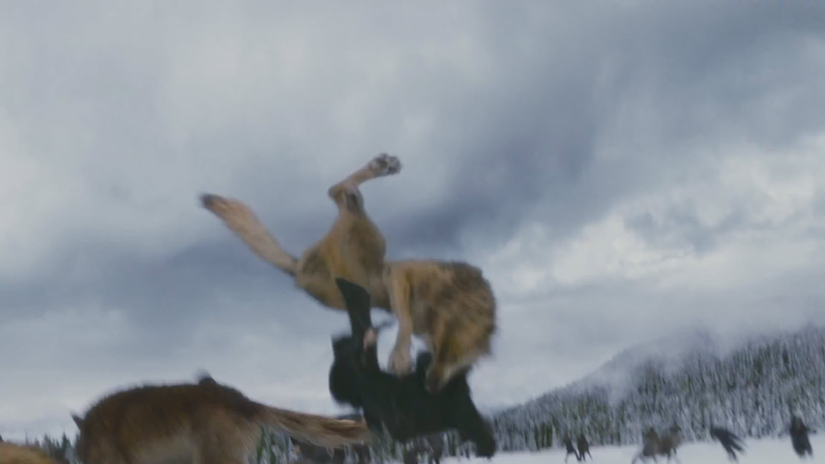 Image - Taylor-lautner-wolf-jacob-attacks-twilight ... Taylor Lautner Movies