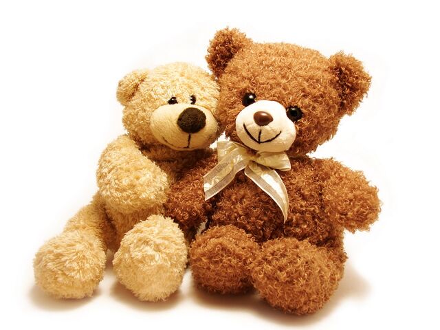 File:Teddy (3).jpg