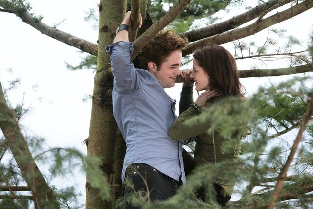 File:Kristen & robert.jpg