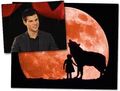 Thumbnail for version as of 21:33, December 24, 2011