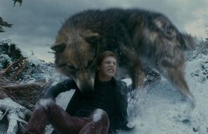 Werewolves 13.jpg