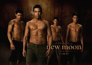 NewMoonQuileuteWerewolvesX(1)