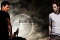 Thumbnail for version as of 00:20, January 15, 2011