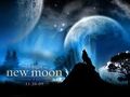 Thumbnail for version as of 00:34, January 15, 2011