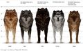Thumbnail for version as of 16:35, August 29, 2011
