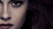 Bella Swan